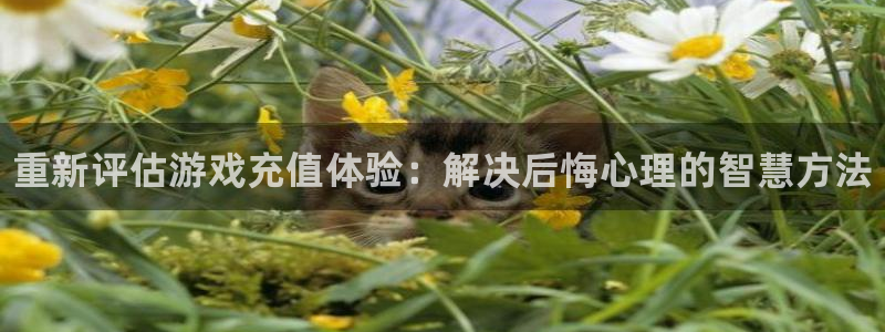 欧博娱乐是什么
