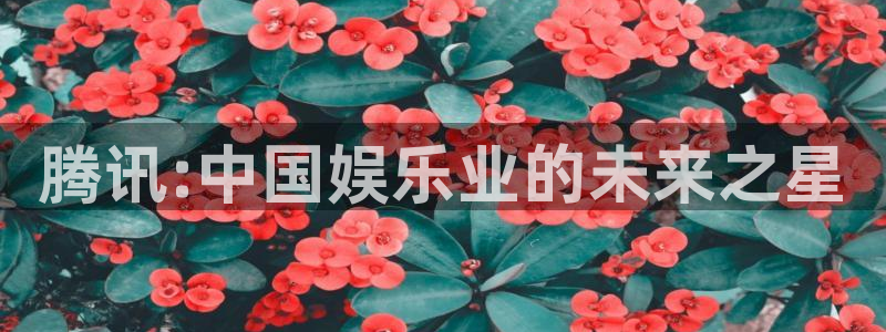欧博娱乐登录网址：腾讯:中国娱乐业的未来之星