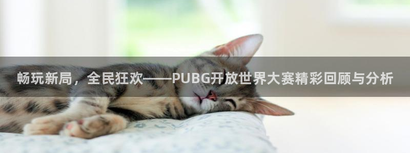 欧博娱乐升级5994月：畅玩新局，全民狂欢——PUBG开放世