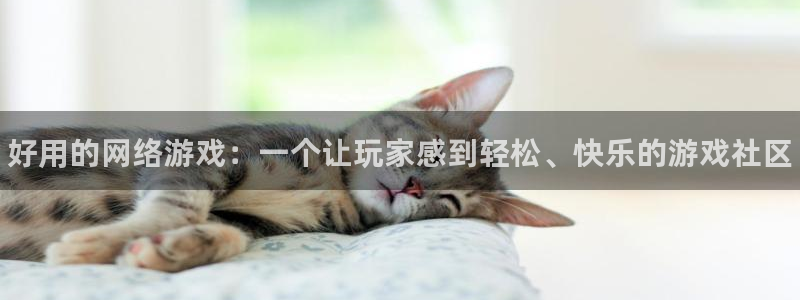 欧博娱乐开户测速：好用的网络游戏：一个让玩家感到轻松、快乐的