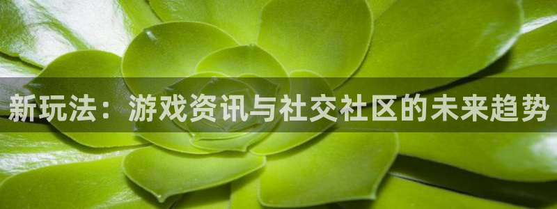 欧博娱乐平台官方网站：新玩法：游戏资讯与社交社区的未来趋势