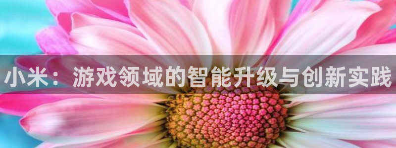 欧博娱乐平台：小米：游戏领域的智能升级与创新实践