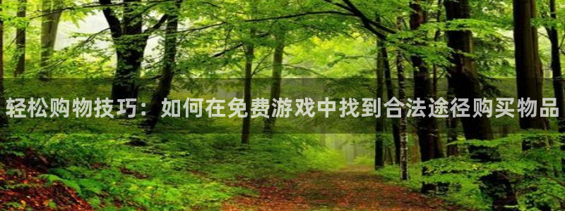 欧博娱乐下载：轻松购物技巧：如何在免费游戏中找到合法途径购买