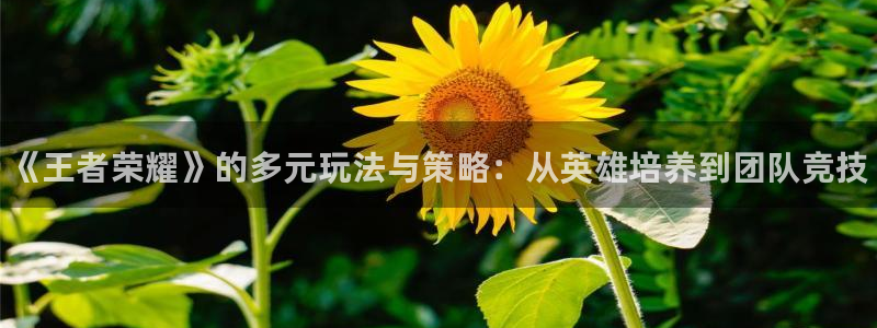 欧博娱乐app下载：《王者荣耀》的多元玩法与策略：从英雄培养