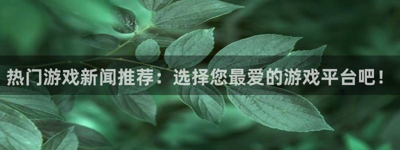欧博娱乐娱乐是真的吗：热门游戏新闻推荐：选择您最爱的游戏平台
