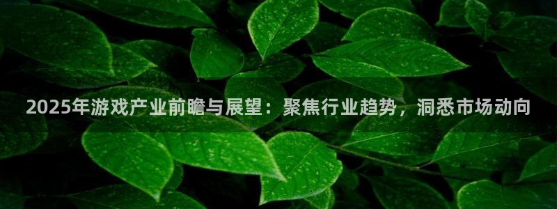 欧博娱乐Ii：2025年游戏产业前瞻与展望：聚焦行业趋势，洞