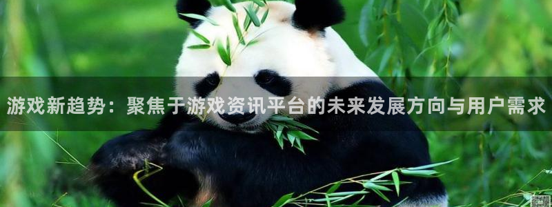 欧博娱乐怎么注册：游戏新趋势：聚焦于游戏资讯平台的未来发展方