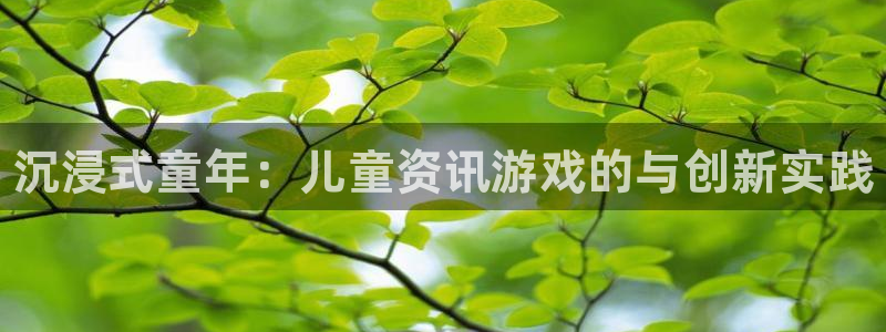 欧博娱乐集团：沉浸式童年：儿童资讯游戏的与创新实践