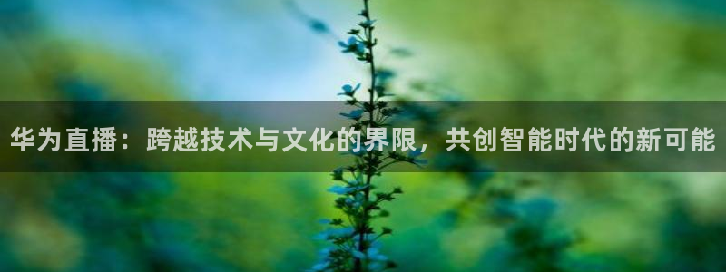 斗球直播体育在线观看：华为直播：跨越技术与文化的界限，共创智能时代的新可能
