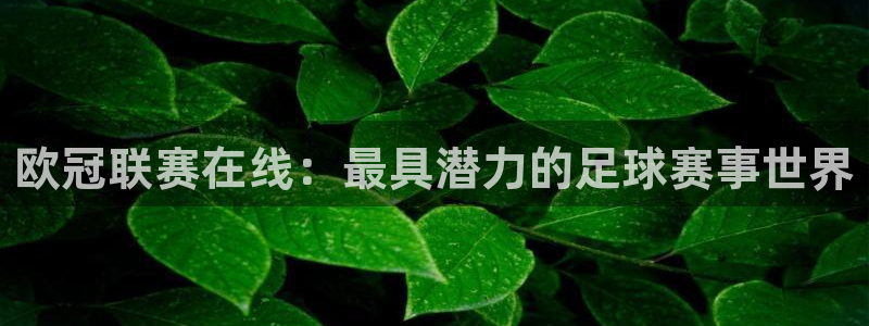 斗球直播官网：欧冠联赛在线：最具潜力的足球赛事世界