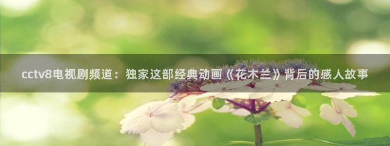斗球直播安卓版：cctv8电视剧频道：独家这部经典动画《花木兰》背后的感人故事